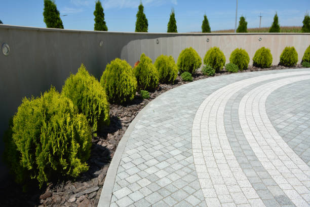Best Commercial Driveway Pavers  in Jacksonville, AR